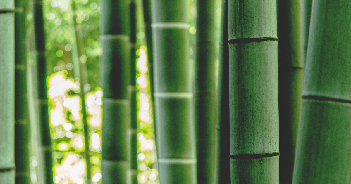 What makes bamboo bedding so great for babies?