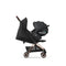Coya Stroller